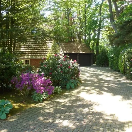 Fireplace Comfortable *